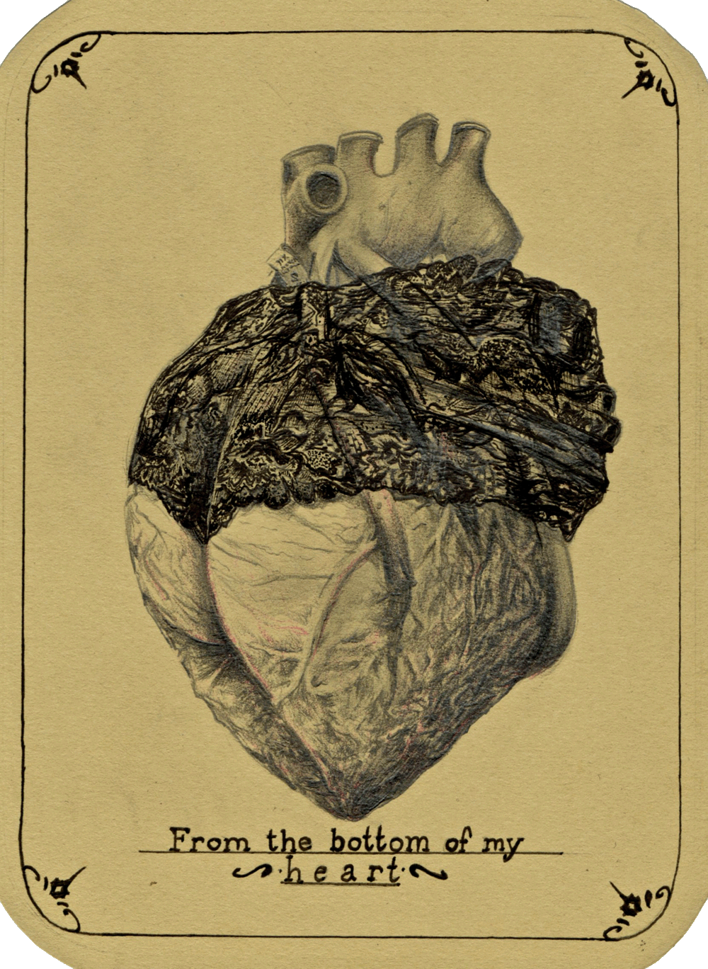 From the Bottom of My Heart